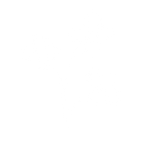 Hand-drawn Prints